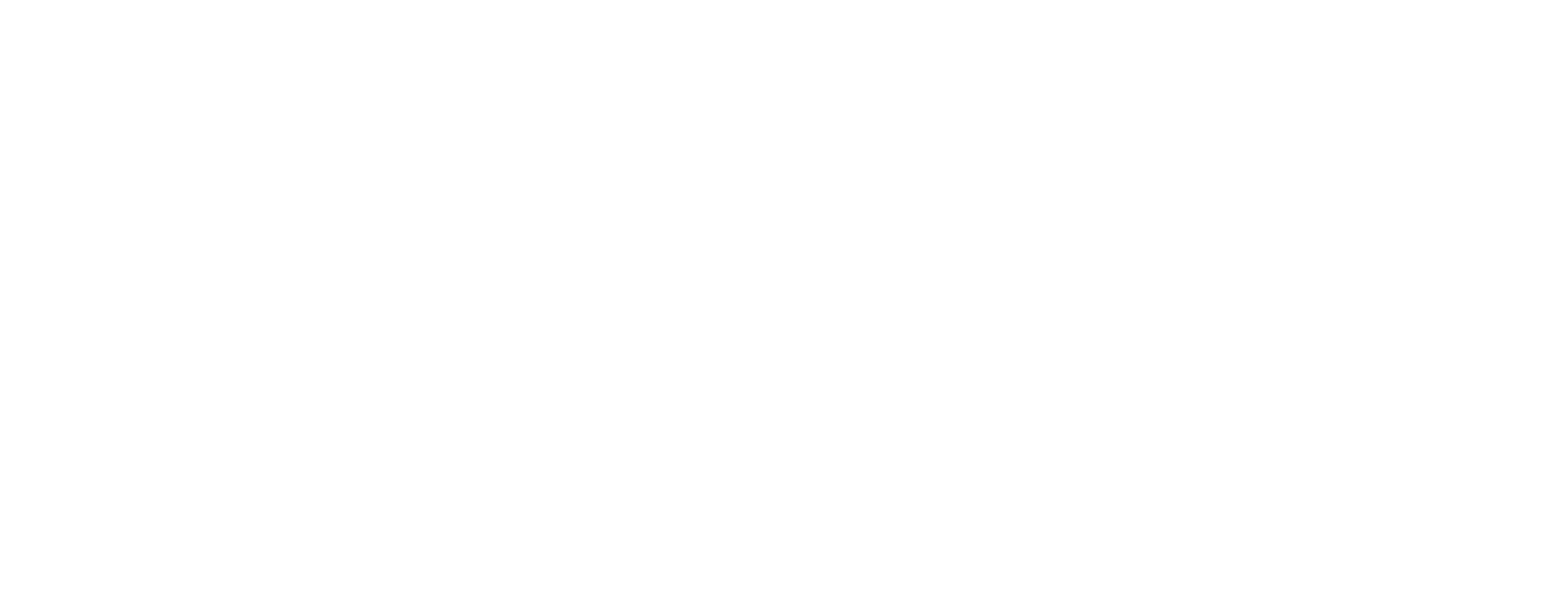 Nutsa's BD Party