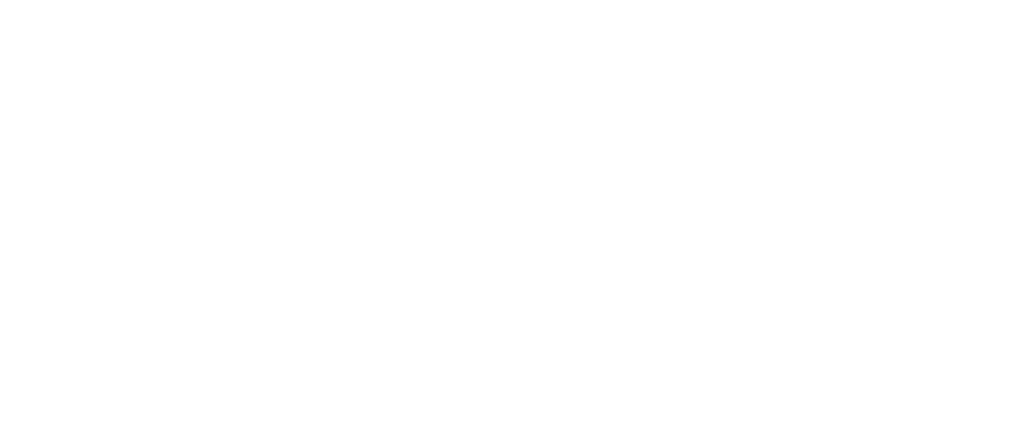 BORUN GROUP