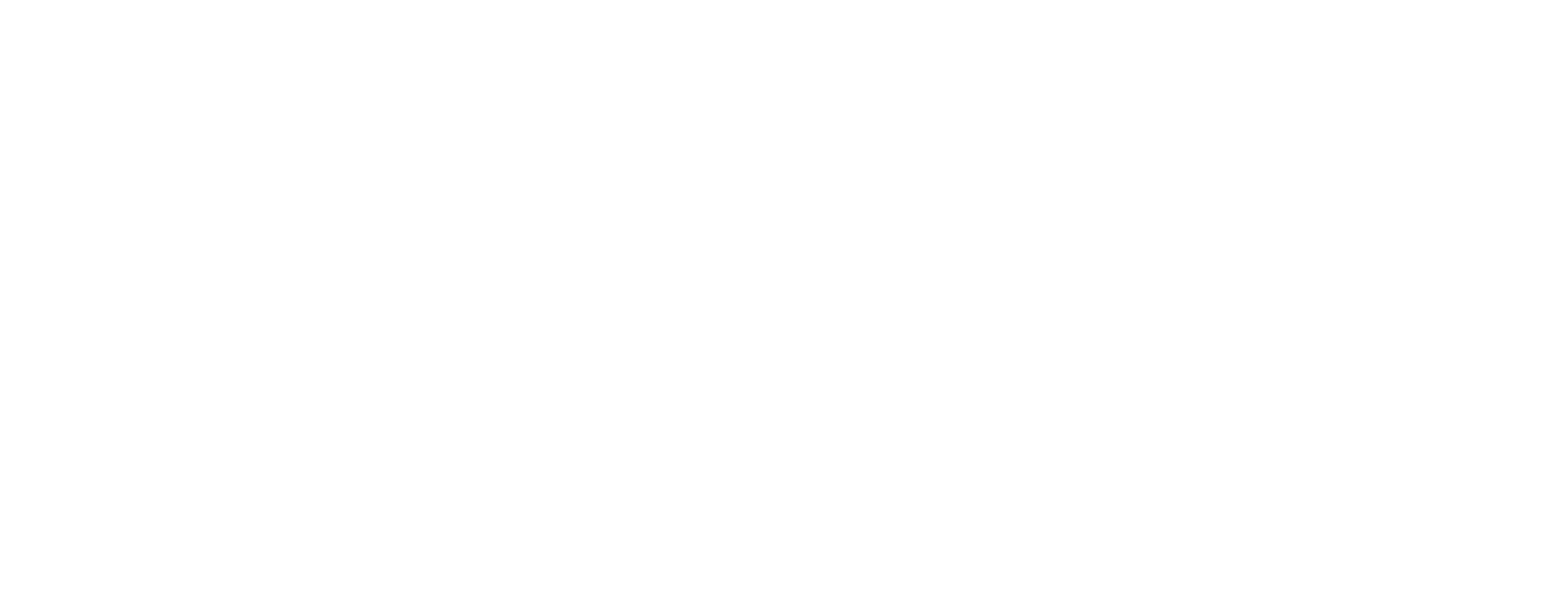 NEW VISTON UNIVERSITY