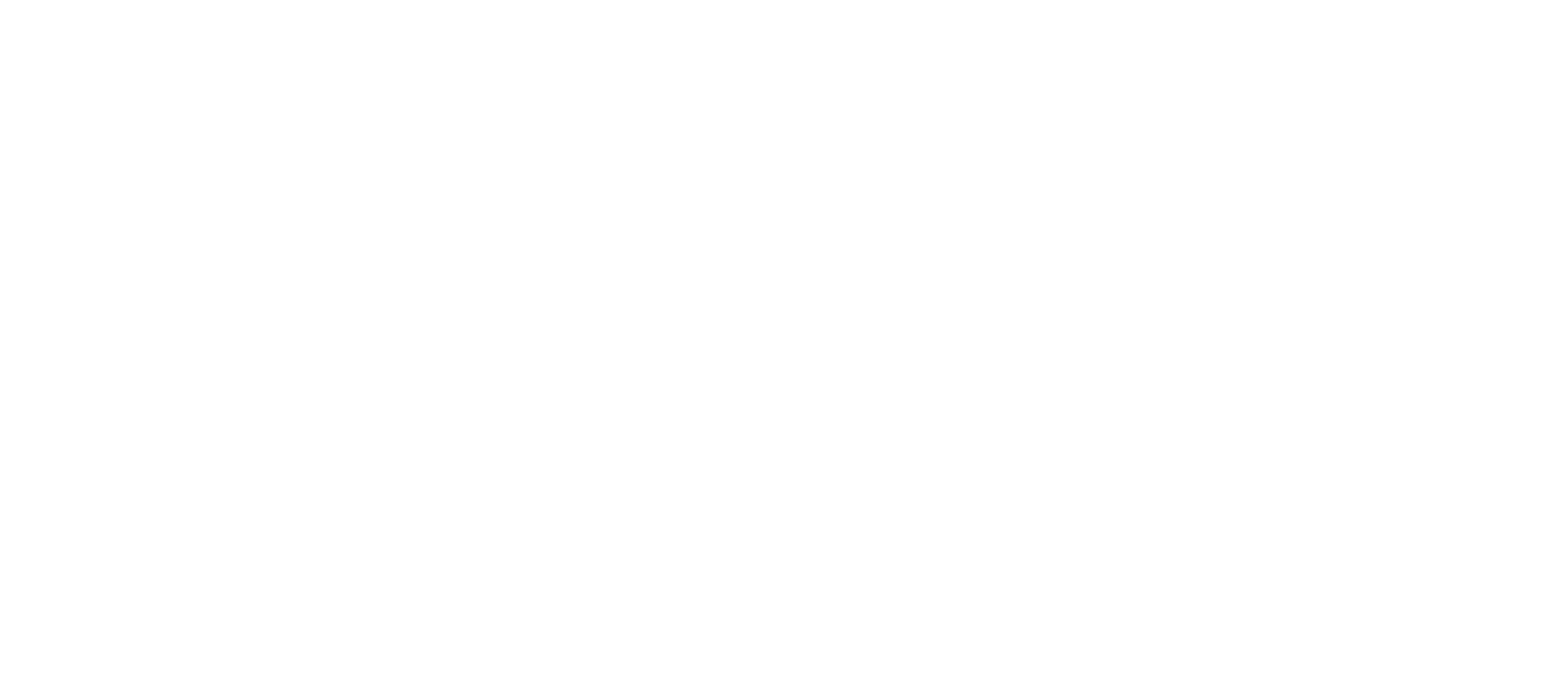 SABA'S 17th BIRTHDAY PARTY