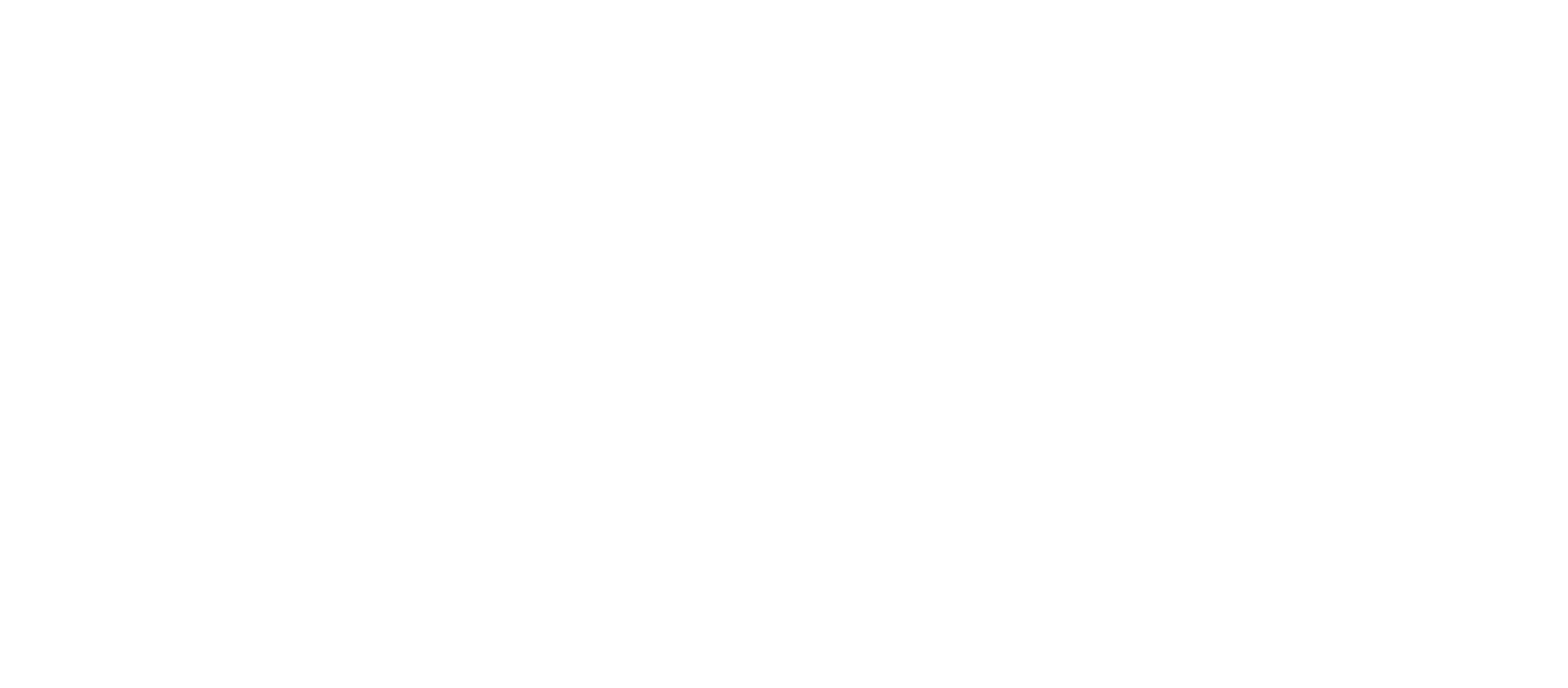 Webster UNIVERSITY